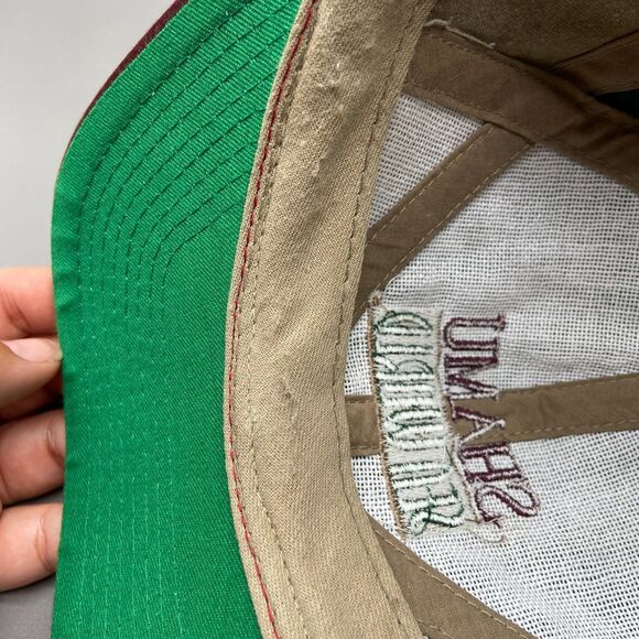 Vintage 90s SeaWorld Shamu Orca Snapback Hat Green Tan Burgundy Embroidered Logo - Picture 4 of 10